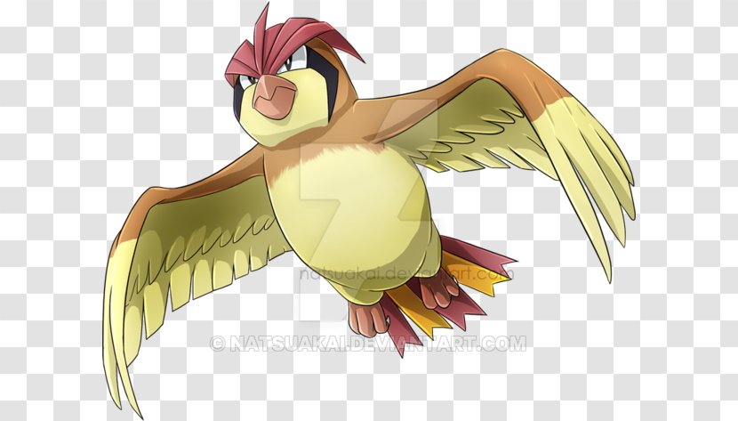 Pidgeotto Pokémon X And Y Pokédex - Cartoon - Pidgeot Transparent PNG