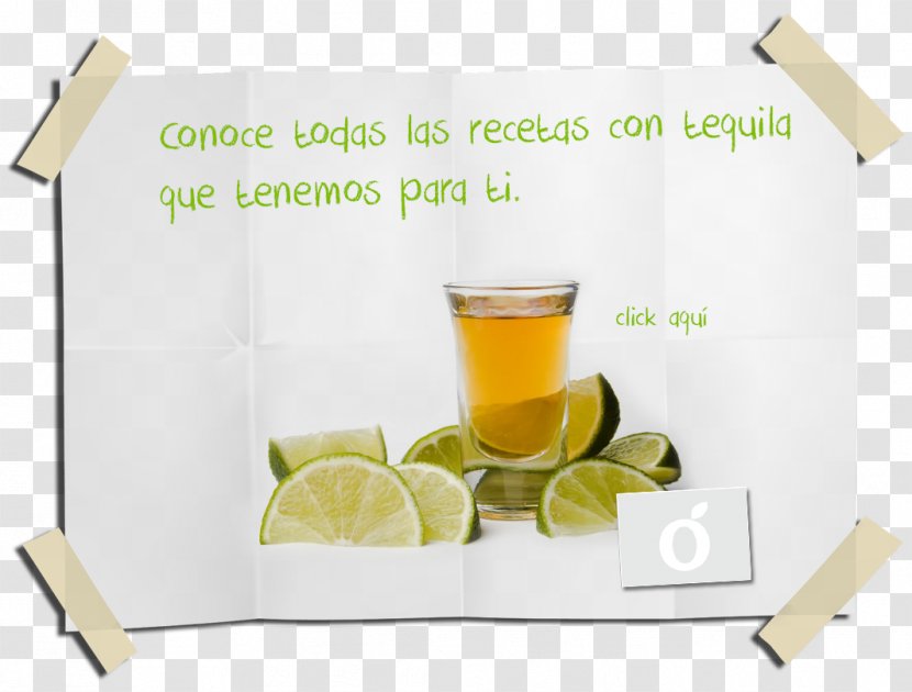 Tequila Drink Mezcal Liqueur Food - Lime Transparent PNG