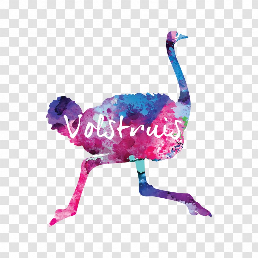 Common Ostrich Volstruis Art & Design Studio BH MAKE UP STUDIO Graphic Bloemfontein FASHION Academy Transparent PNG
