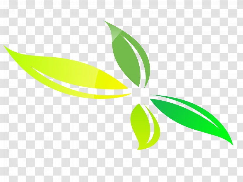Leaf Green Plant Stem Line Clip Art Transparent PNG