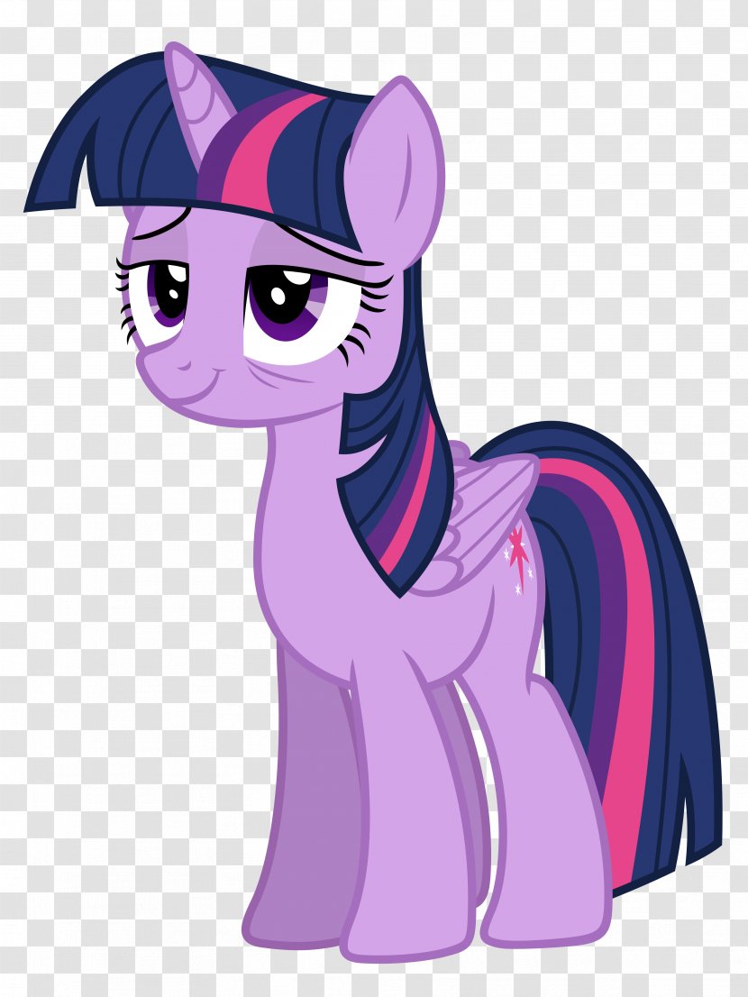 Twilight Sparkle My Little Pony Rarity Rainbow Dash - Purple Transparent PNG