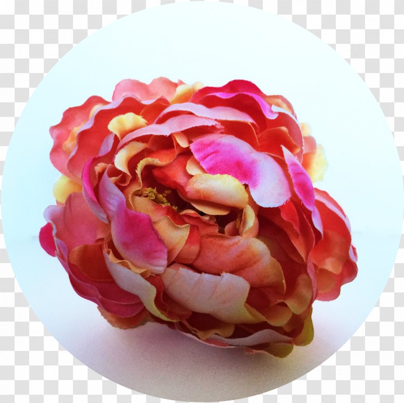 Garden Roses Cut Flowers Peony Petal - Facebook - Flower Transparent PNG