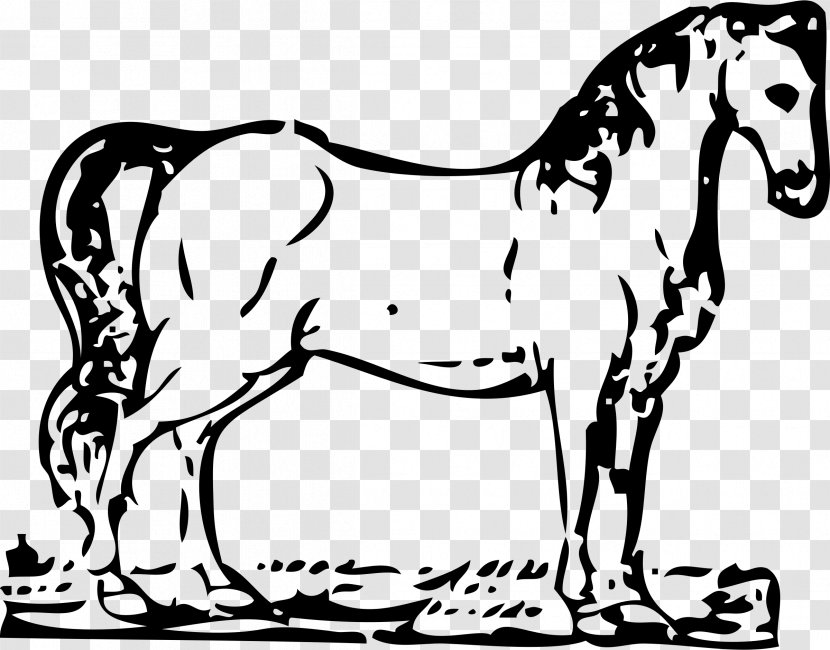 Tennessee Walking Horse Equestrian Jumping Coloring Book Clip Art - Supplies - Wood Cut Transparent PNG