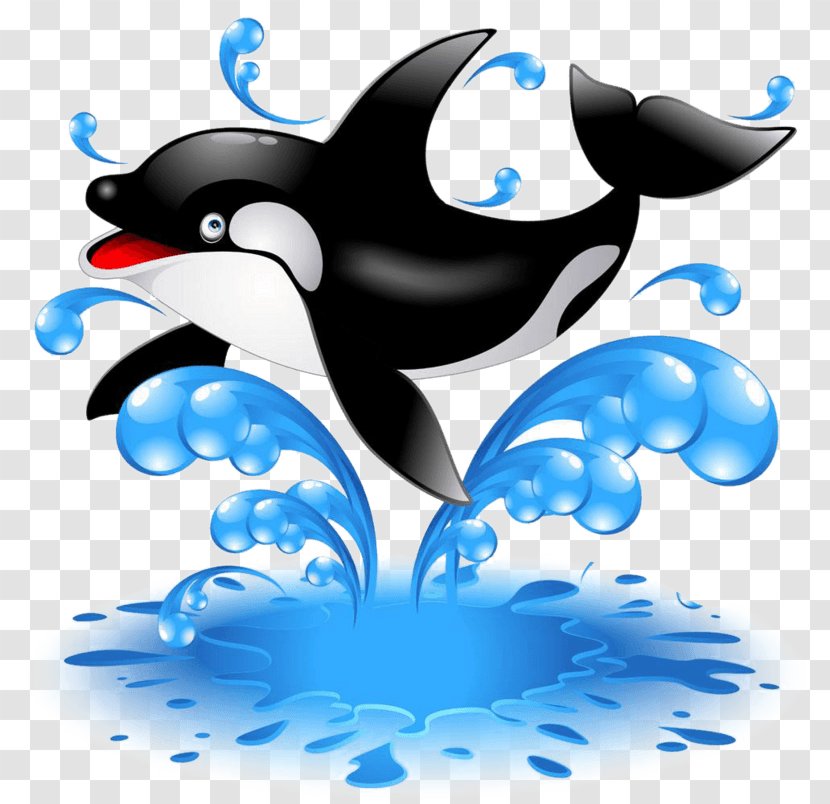 Killer Whale Stock Photography Illustration Whales Image - Cartoon Dolphin Transparent PNG