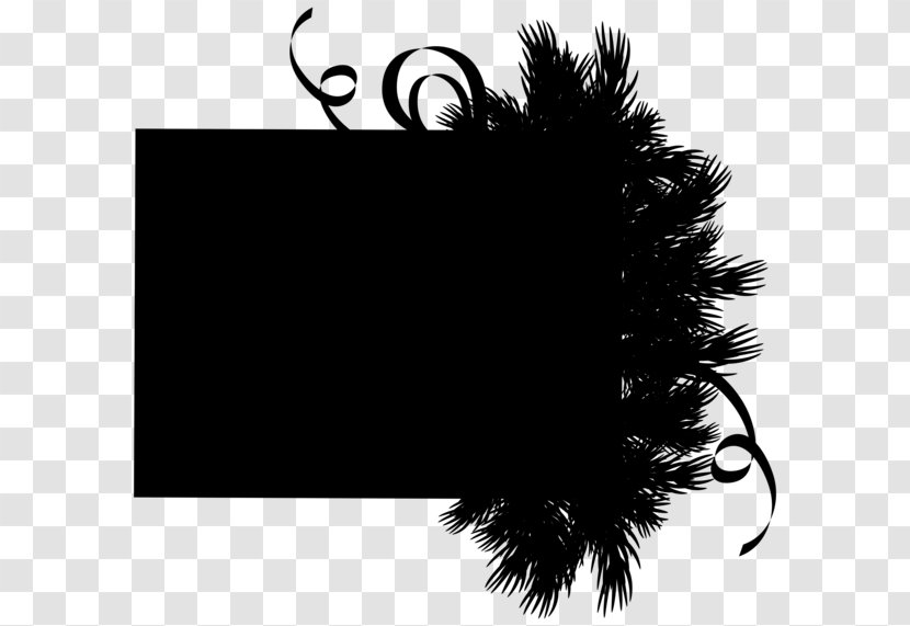 Desktop Wallpaper Computer Font Fur Tree - Black - M Transparent PNG