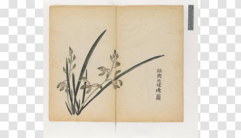 Shih Tzu Book Cambridge University Library Calligraphy Painting - Rectangle - Zhai Transparent PNG