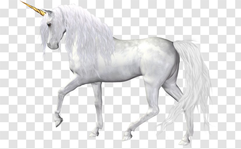 Horse The Black Unicorn Clip Art Transparent PNG