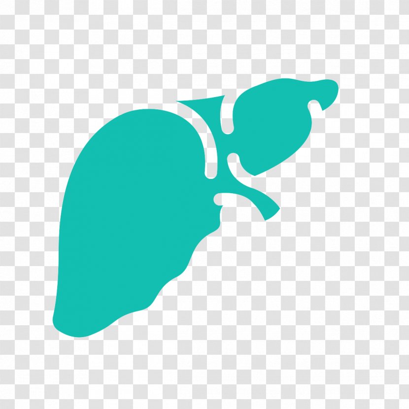 Liver Function Tests Hepatotoxicity Blood Hypercholesterolemia Transparent PNG