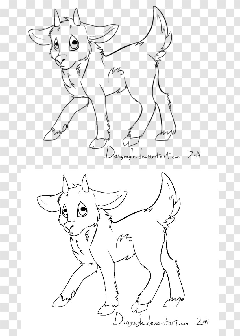 Line Art Goat Drawing Painting - Tail Transparent PNG
