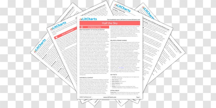 Ethan Frome (Annotated)(Illustrated) (SparkNotes Literature Guide) Essay - Book - Summary Graph Transparent PNG
