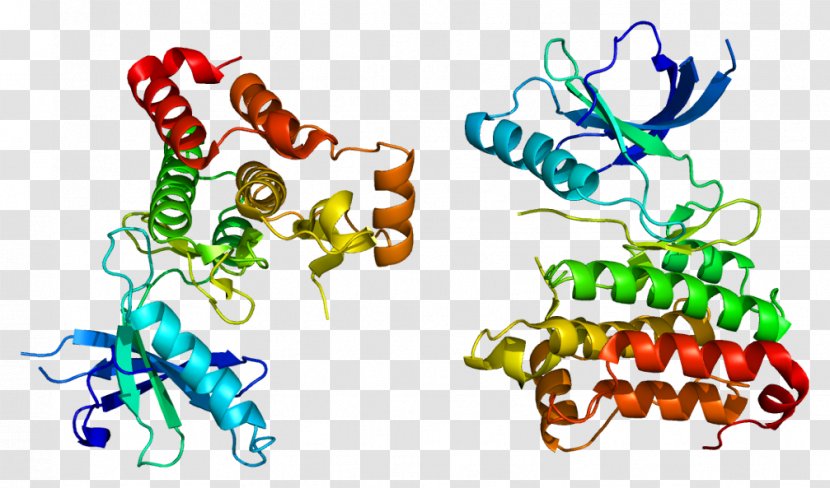 EPH Receptor A2 Ephrin Tyrosine Kinase Protein - Flower - Watercolor Transparent PNG