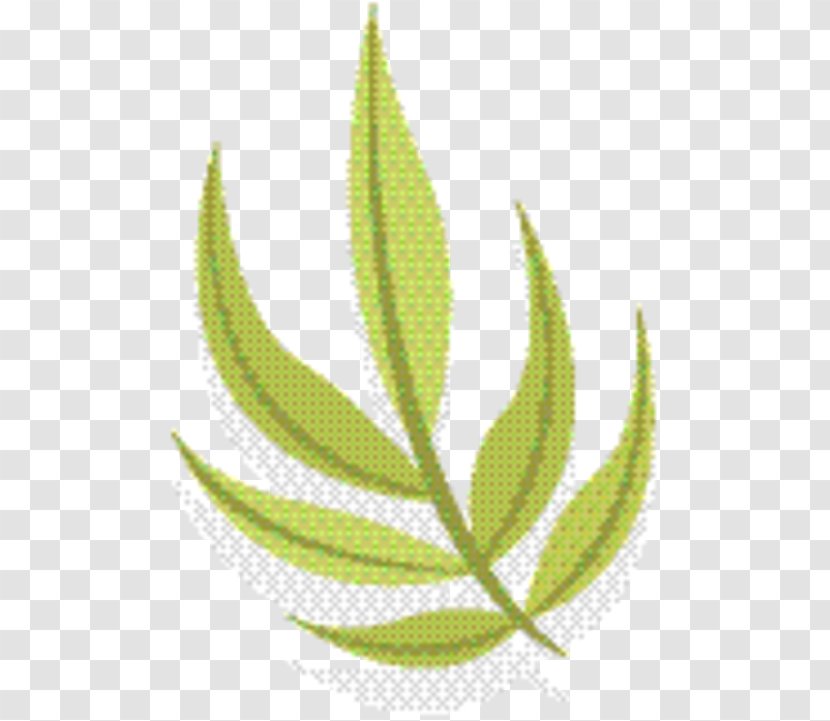 Hemp Leaf - Perennial Plant Aloe Transparent PNG