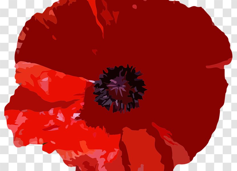 Common Poppy Image Vector Graphics Stock Photography - Plants - Genocide Remembrance Day Transparent PNG