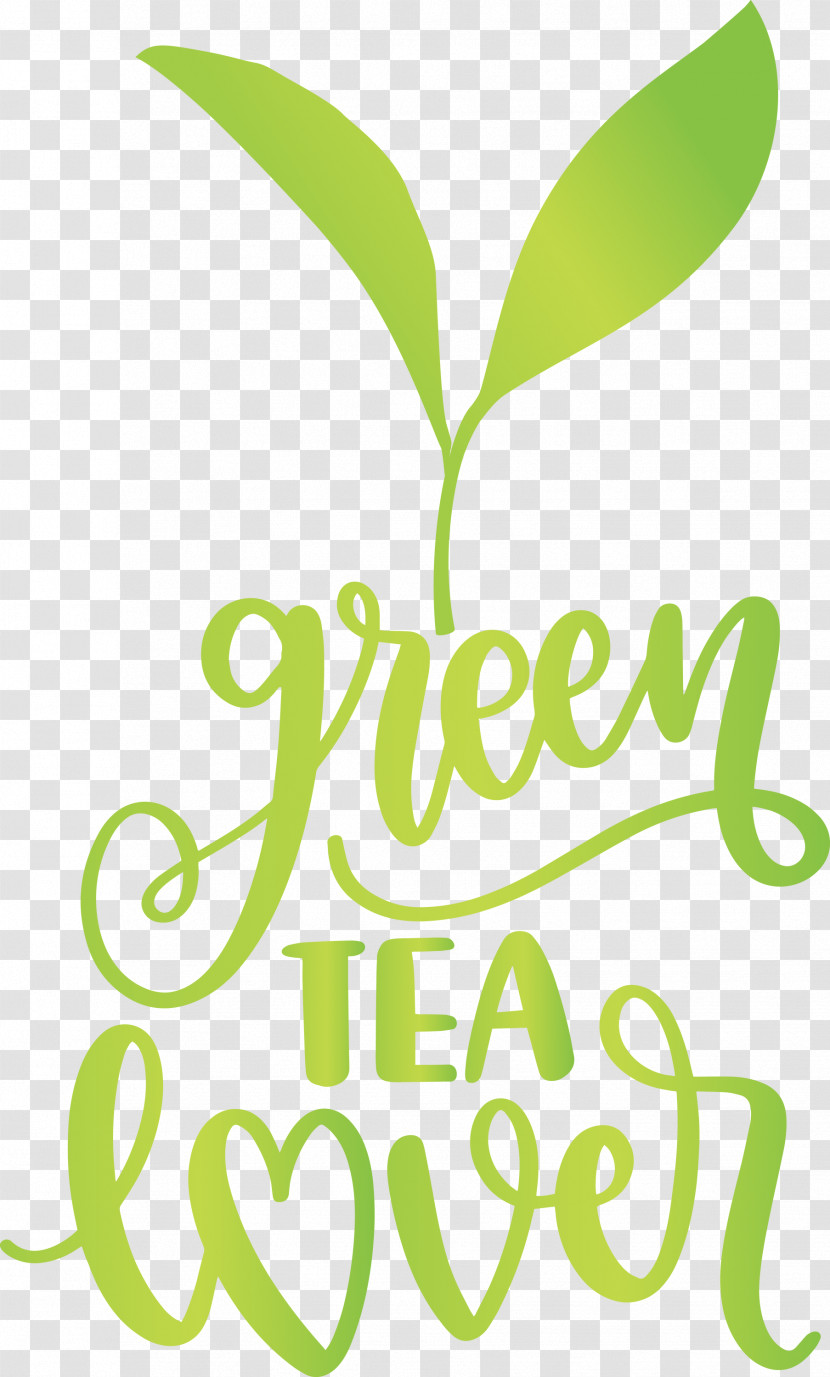 Green Tea Lover Tea Transparent PNG