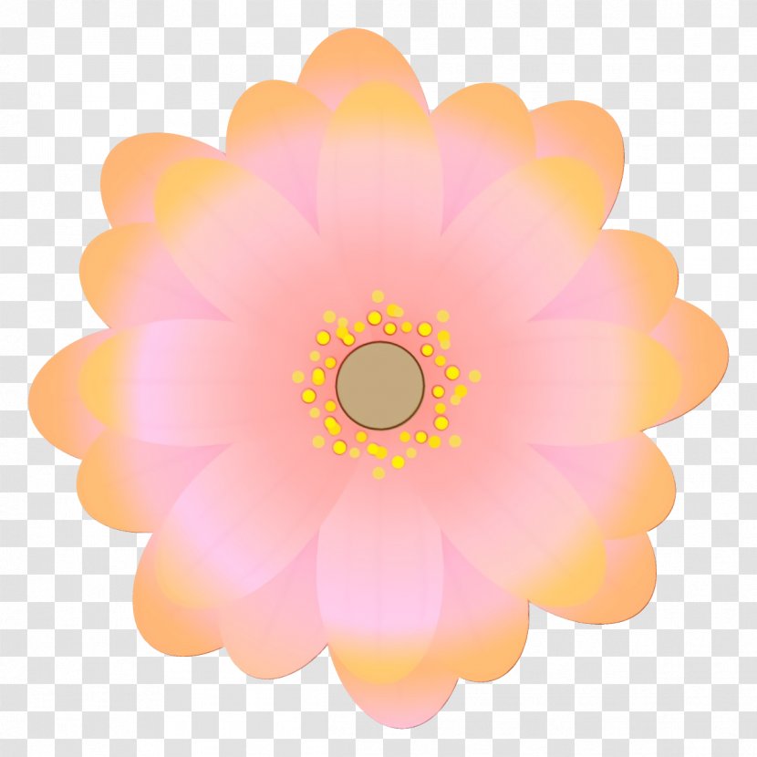 Pink Petal Gerbera Flower Yellow - Daisy Family Sticker Transparent PNG