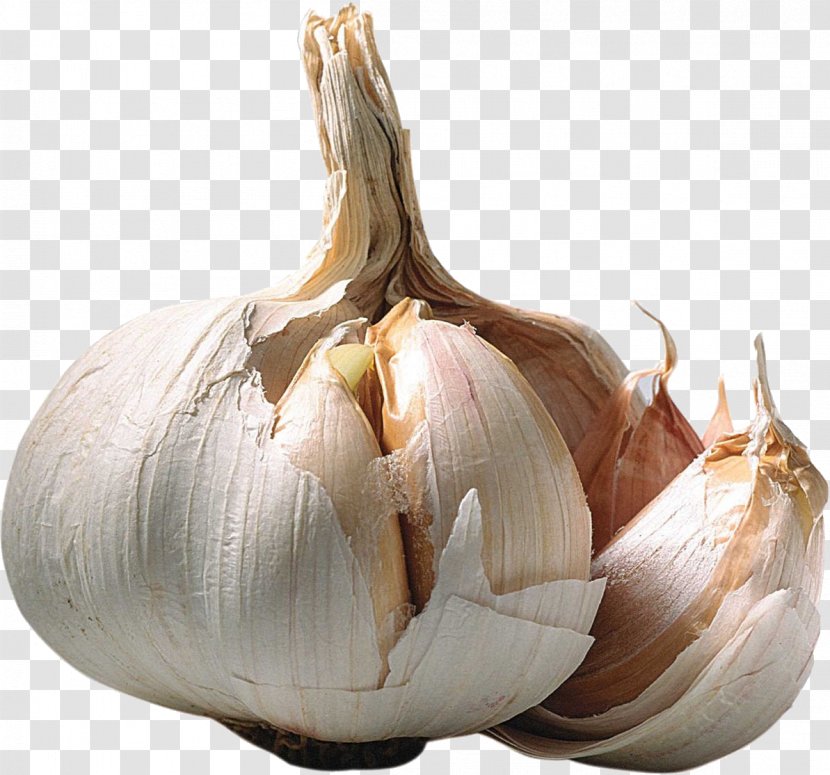 Shallot Garlic Ramsons Allicin Wallpaper - Onion Genus Transparent PNG