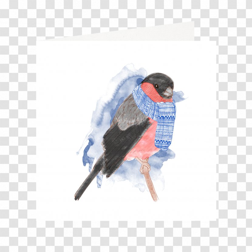 Christmas Card Centimeter Winter Bird Eurasian Bullfinch Transparent PNG