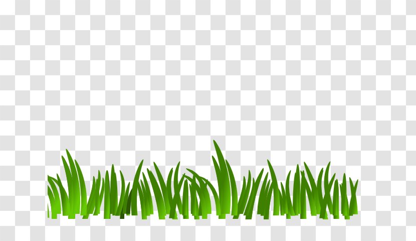 Family Tree Background - Green - Artificial Turf Vascular Plant Transparent PNG