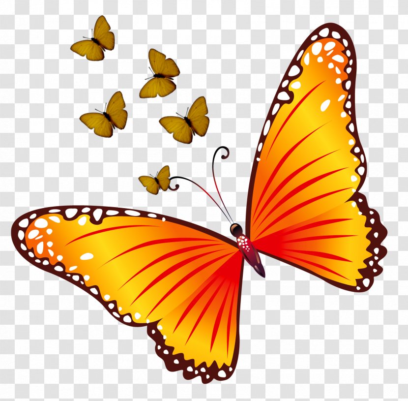 Clip Art Beautiful Butterflies Openclipart - Glasswing Butterfly Transparent PNG