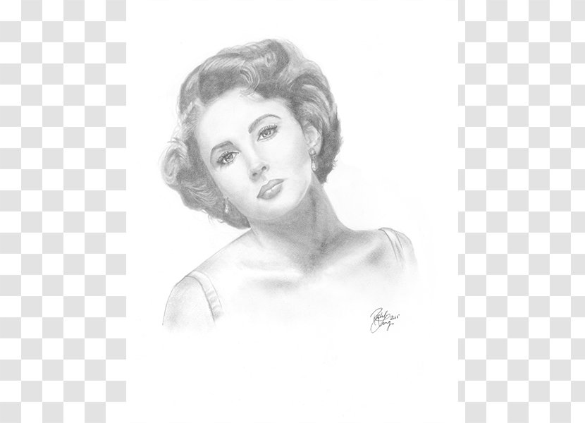 Cheek Nose Drawing Eyebrow Jaw - Heart - Elizabeth Taylor Transparent PNG
