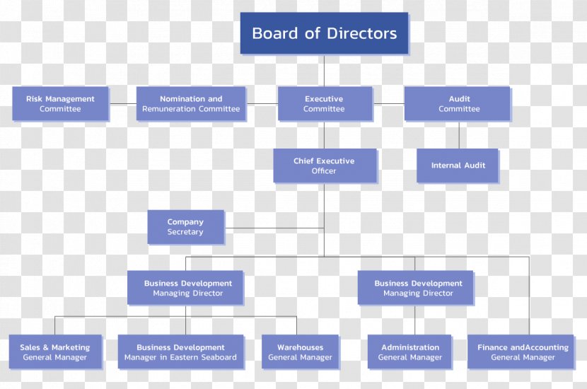Organizational Chart Board Of Directors Structure Corporation Organization Transparent Png