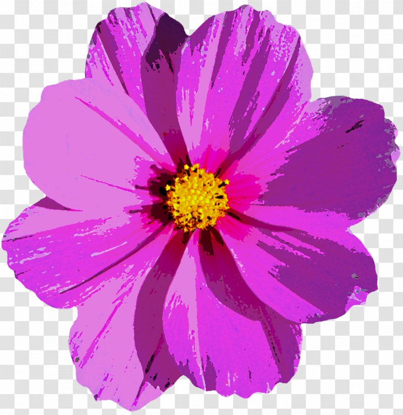 Flower Photography - Magenta - BLOSSOM Transparent PNG