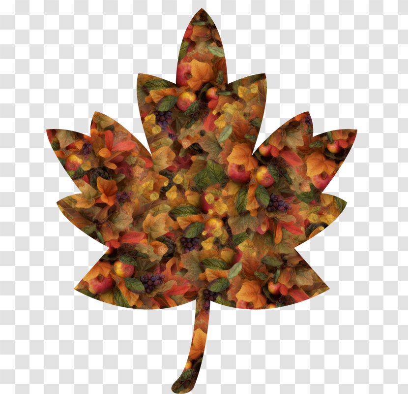 Maple Leaf Red Clip Art - Autumn Transparent PNG