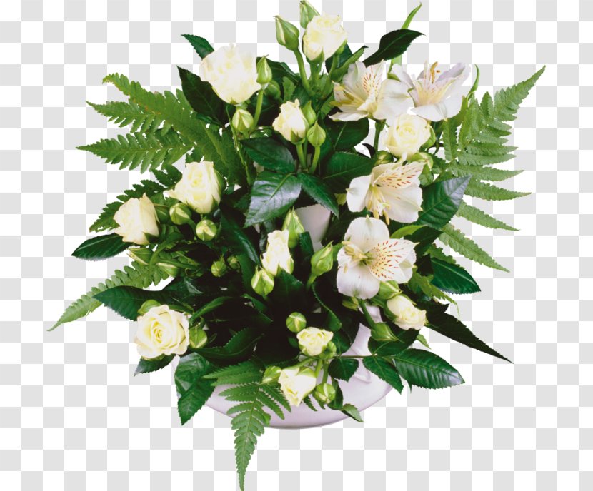 Picture Frames Photography - Plant - Flower Arranging Transparent PNG