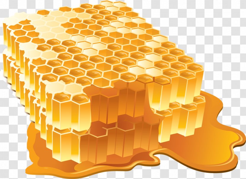 Honey Bee Honeycomb - Material Transparent PNG