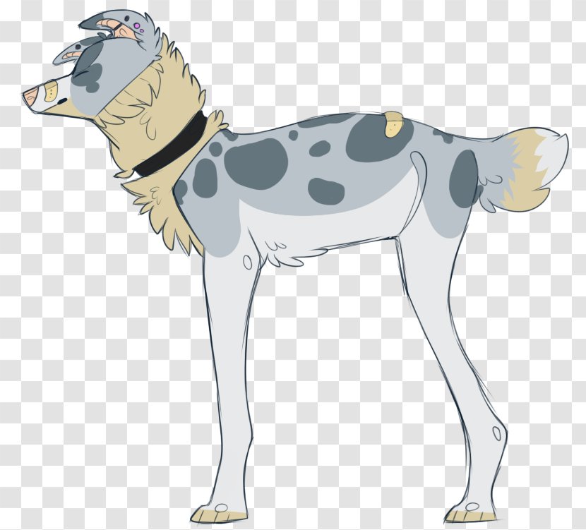 Dog Breed Neck - Tail Transparent PNG