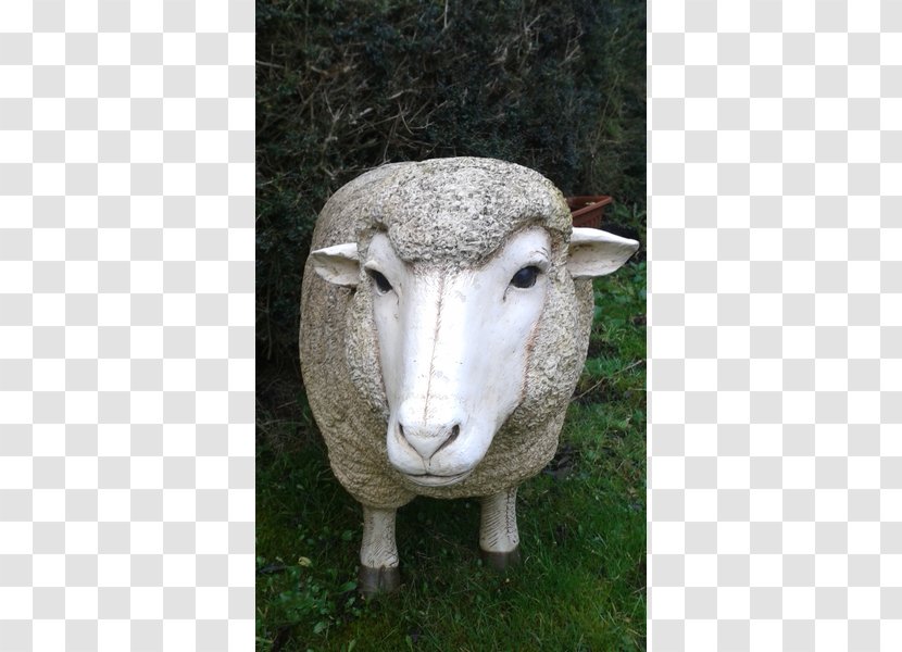 Sheep Statue Snout Transparent PNG