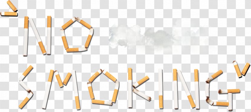 Tobacco Smoking Ban - Flower - Non-smoking Propaganda Material To Pull HD Free Transparent PNG
