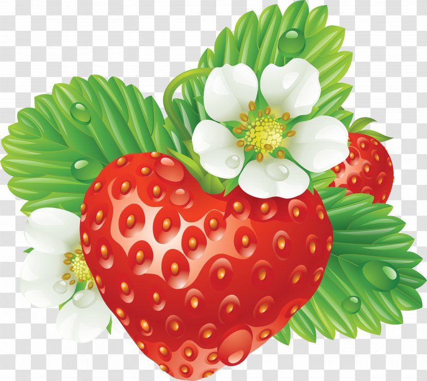 Wild Strawberry Shortcake Flower Virginia - Food - Images Transparent PNG