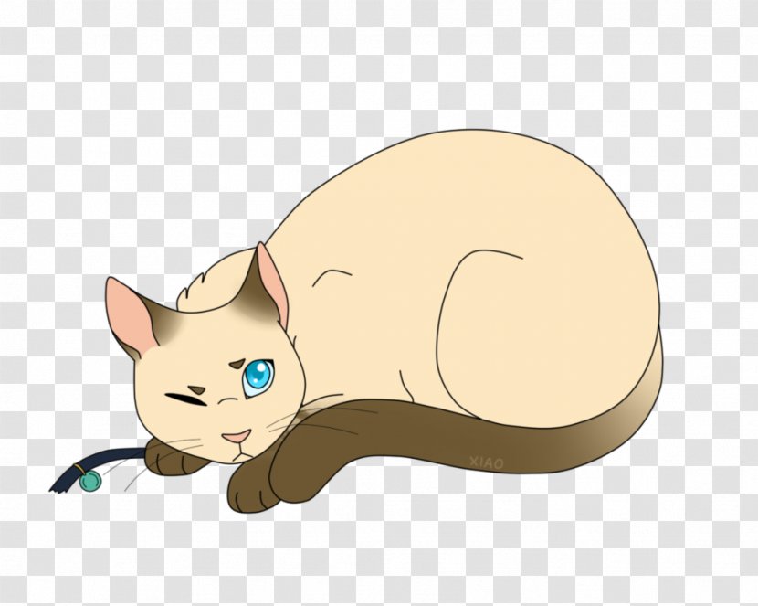 Whiskers Warriors Domestic Short-haired Cat Erin Hunter - Dog Like Mammal - Dark Cloud Xiao Transparent PNG