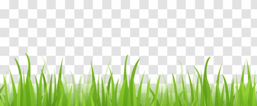 Clip Art Illustration Image Vector Graphics - Wheatgrass - Ceratopsia Banner Transparent PNG