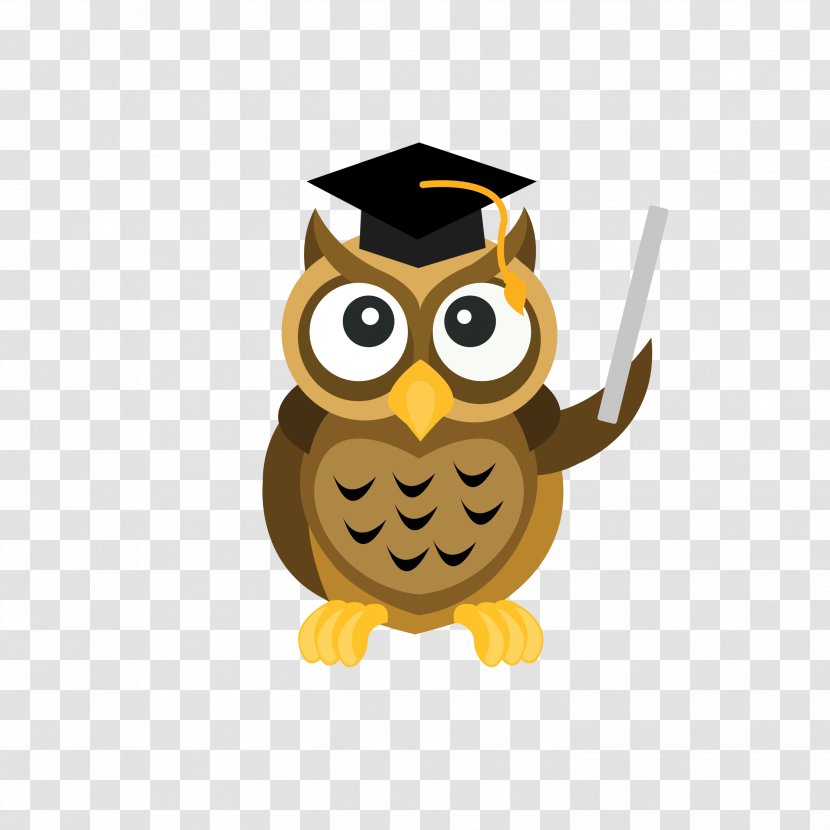 Professional Education Bar Training Course - Expert - Owl Graduation Transparent PNG