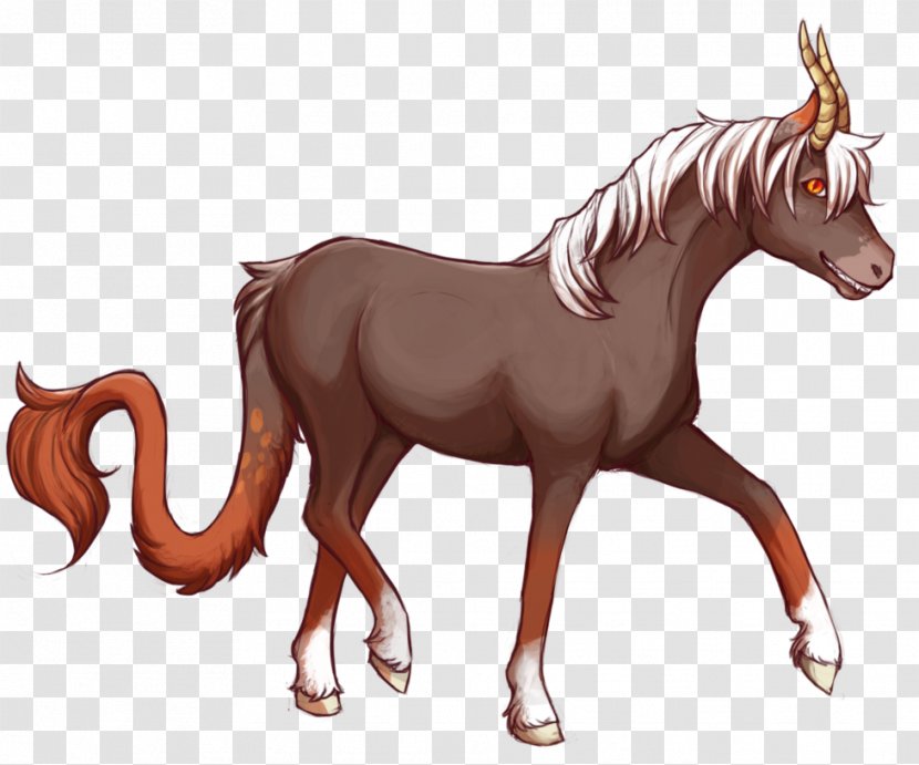 Stallion Foal Pony Mustang Mare - Frame - Drake Transparent PNG