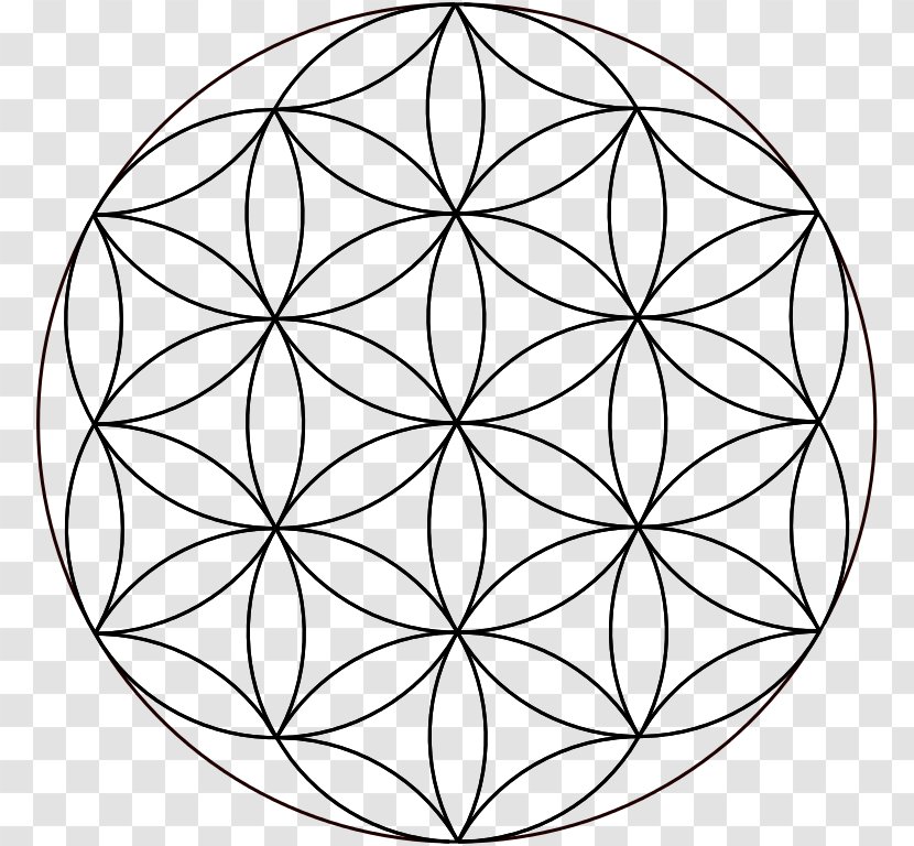 Overlapping Circles Grid Sacred Geometry Drawing - Circle Transparent PNG