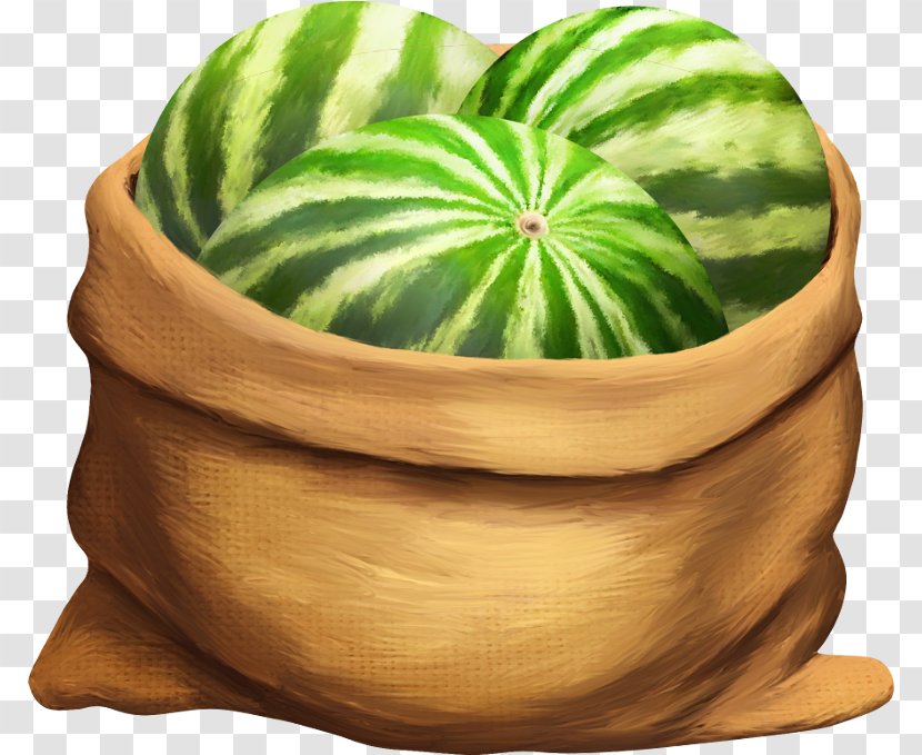 Watermelon Gunny Sack Vegetable Auglis - Cucumber Gourd And Melon Family Transparent PNG