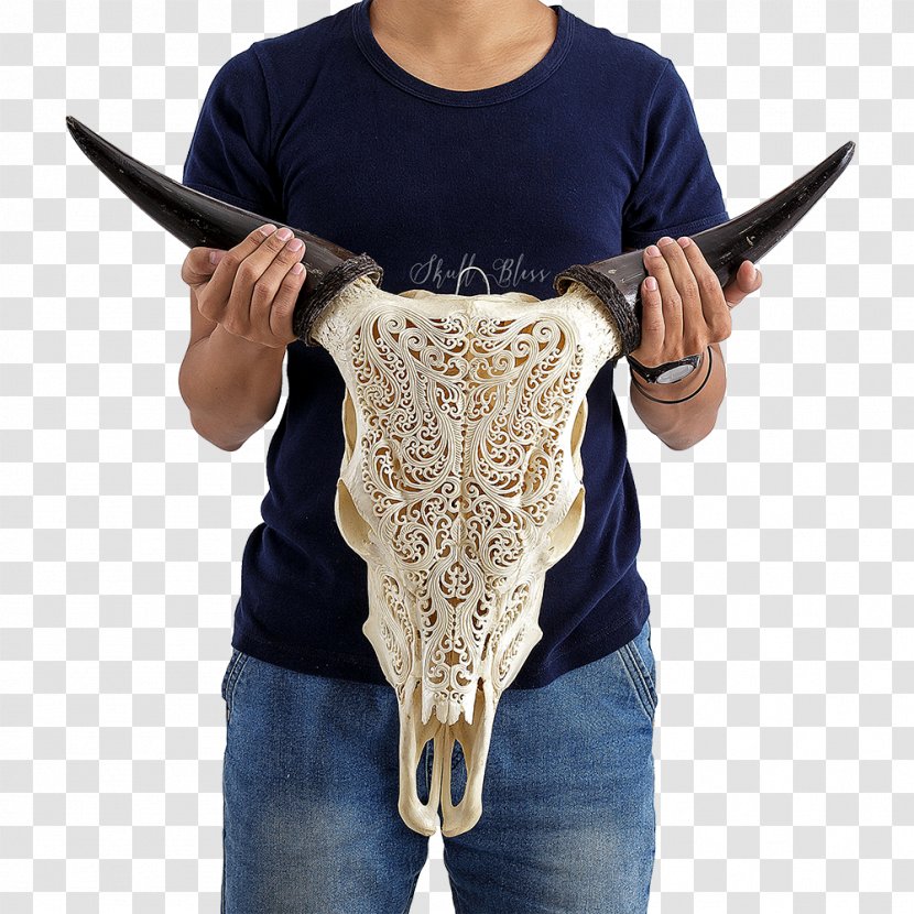 XL Horns Skull Cattle Barbed Wire - Xl Transparent PNG