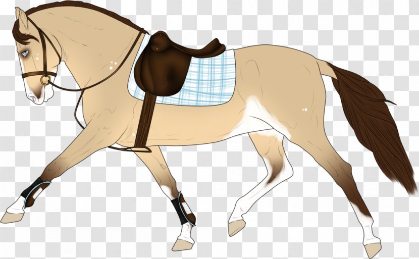 Mule English Riding Bridle Pony Saddle - Drawing - Western Transparent PNG