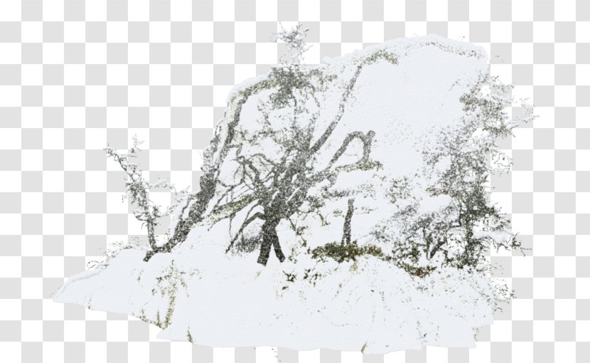 Twig Snow Tree Clip Art Transparent PNG