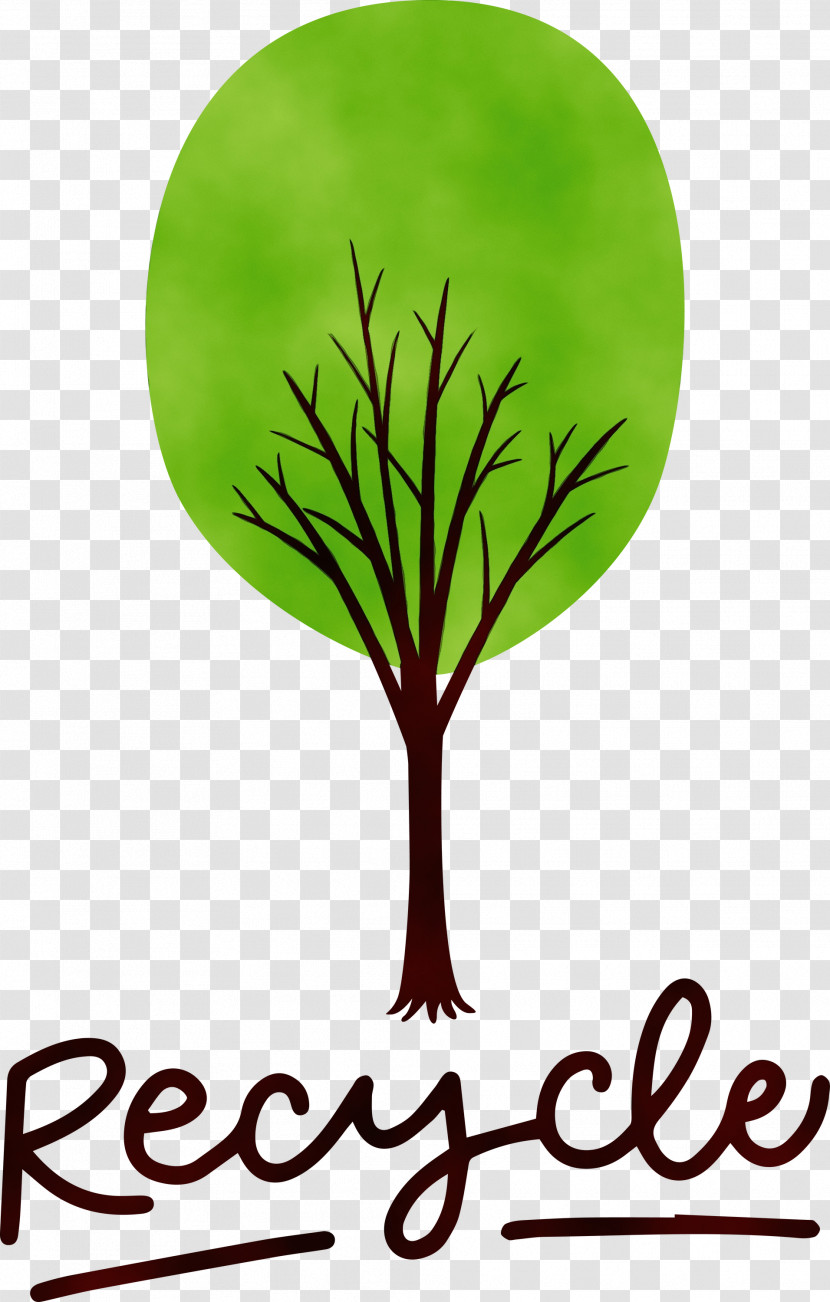 Leaf Plant Stem Logo Meter M-tree Transparent PNG