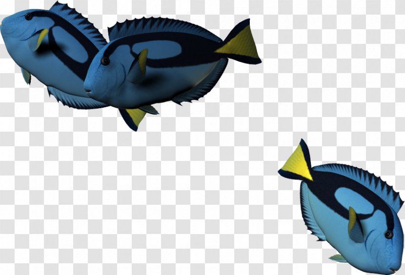 Fish Cartoon 3D Computer Graphics - Rendering - 3d Fish,Cartoon Transparent PNG