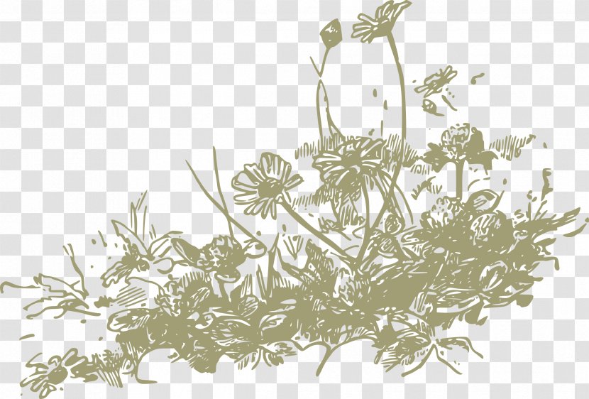 Wildflower Clip Art - Organism - Wild Flowers Transparent PNG