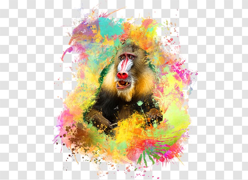 Mandrill Old World Monkey Watercolor Paint Wildlife Transparent PNG