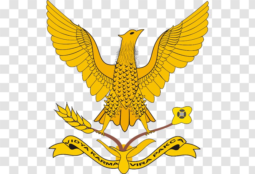 Indonesian Air Force Academy National Armed Forces Yogyakarta - Organism Transparent PNG