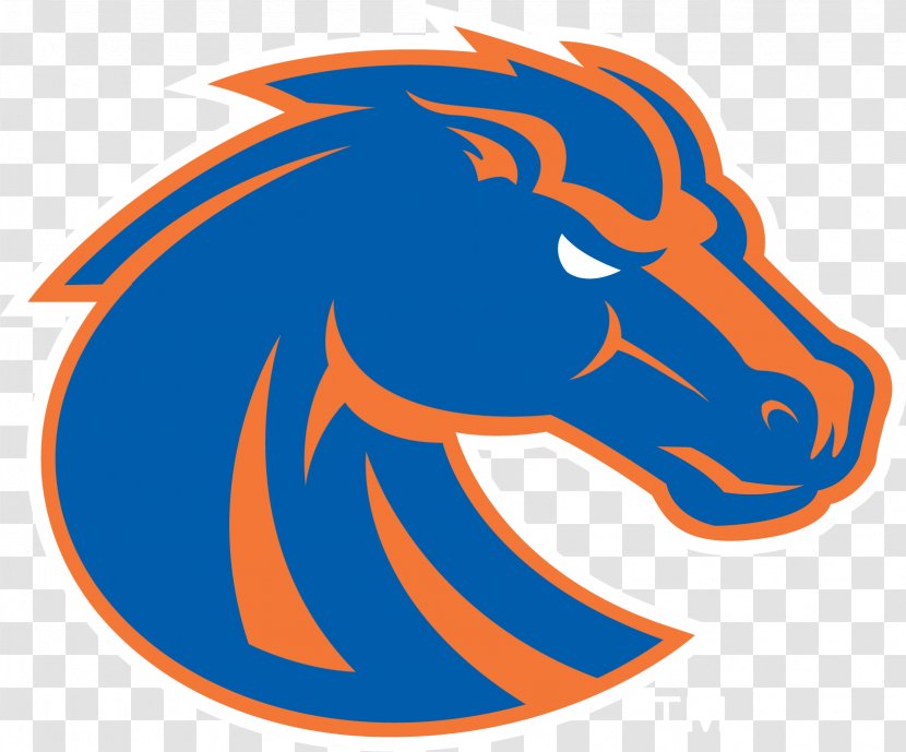 Boise State Broncos Football Men's Basketball Albertsons Stadium American Division I (NCAA) - Orange Transparent PNG