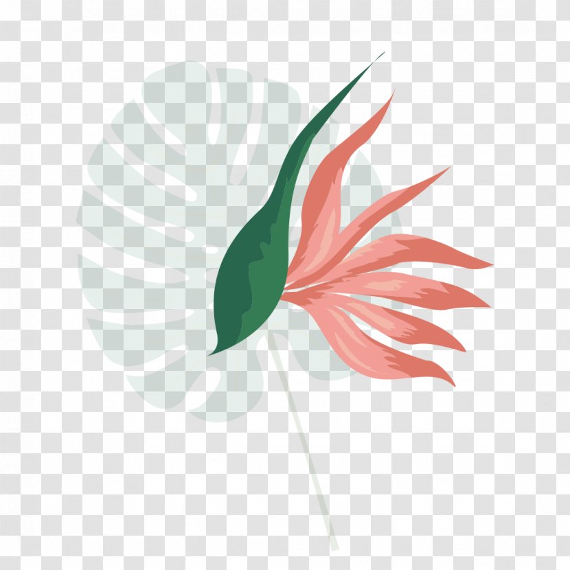 Palm Leaf - Areca - Feather Logo Transparent PNG