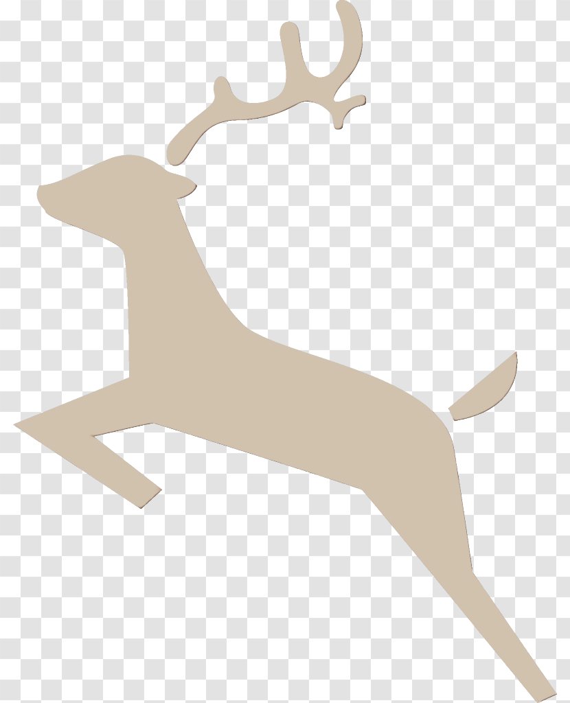 Reindeer - Fawn - Animal Figure Wildlife Transparent PNG